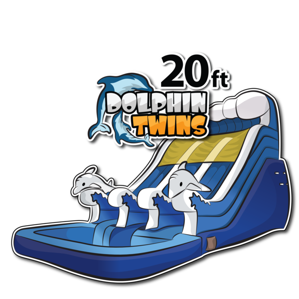20 FT dolphin double lane water slide